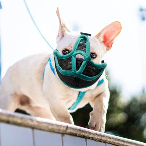 Maulkorb Französische Bulldogge für Mittlere Kleine Hunde, Einstellbare GrößE, Weich und Bequem, Atmungsaktiv, BeißFest, Antibellend, Verhindert das Essen, Maulkorb Hund