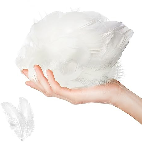 Jagowa 100 Pcs Feathers for Crafts, Colorful Feathers, Natural Goose Feathers for DIY Handmade Crafts Gift Box Filling Ornament Decoration (White)