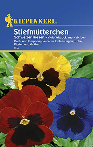 Kiepenkerl 964 Stiefmütterchen Schweizer Riesen (Stiefmütterchensamen)