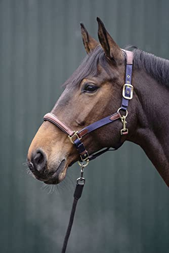 HKM Luna Lederhalfter Braun Warmblut