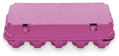 Eivolution EcoPack 10er Eierschachtel – Biologisch Abbaubar, Stapelbar Eierpappen für Hühner Eier