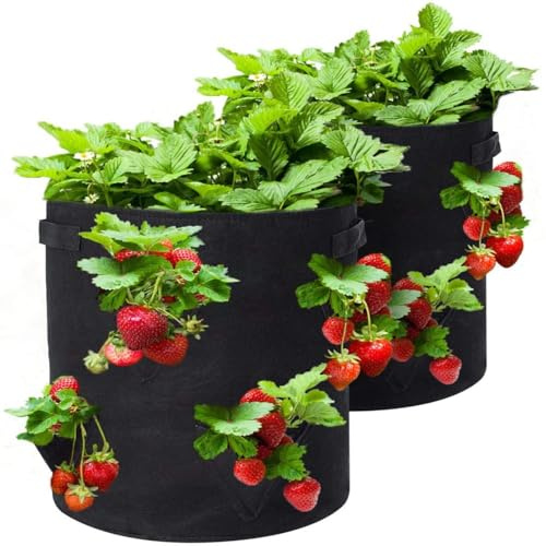 Macetero de fresas, paquete de 2 bolsas de cultivo de fresas de 10 galones con 8 bolsillos laterales de cultivo, tela no tejida transpirable ReinHandle Bolsa de cultivo de fresas para fresas, hierbas