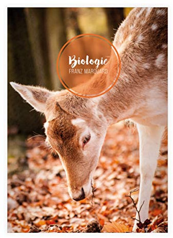16 personalisierte zauberhafte Wald DIN A4 Schulhefte, Schreibhefte mit Dammwild Kitz, braun Lineatur 21 (liniertes Heft 16 Blatt/32 Seiten) Notizheft, Kladde für Schule, Universität, Büro