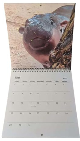Calendario de pared de hipopótamo, calendario montado en la pared con 12 meses, planificador de gestión de horarios con ilustraciones de animales para niños, adolescentes, estudiantes, profesores