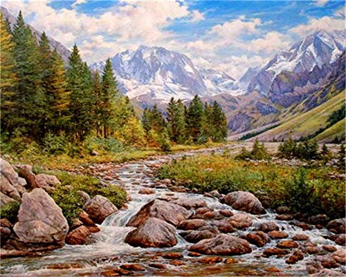 YEESAM ART DIY Ölgemälde Malen nach Zahlen Erwachsene Kinder, Schnee Berg Wald Grün Bäume Stein Fluss Zahlenmalerei ab 5 Öl Wandkunst (Stein Fluss, mit Rahmen)