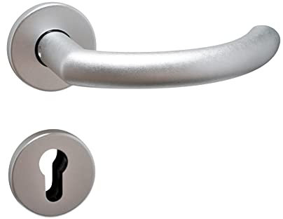 Buddy4Home Türgriff Alu Profilzylinder Silber F1 Türgarnitur Türbeschlag Türdrücker Türklinke Drückergarnitur Zimmertüren Türbeschläge Innentüren Set Türgriffe Wohnungstür Prag