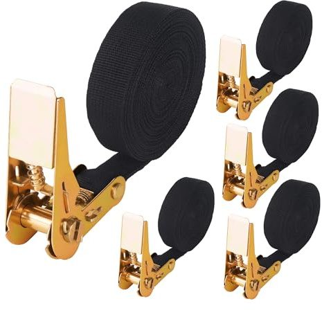 5 Piezas Set de Cinchas Negras, Cinchas de Amarre Negras 2m x 25mm, Cinchas de Amarre Carraca y Pequeñas Carga 900kg, Eslingas de Amarre para Motocicletas, Conforme a DIN EN 12195-2