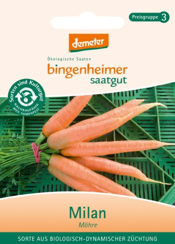 Bingenheimer Saatgut - Möhre Milan - Gemüse Saatgut / Samen