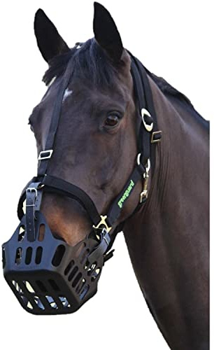 Shires Greenguard Halfter