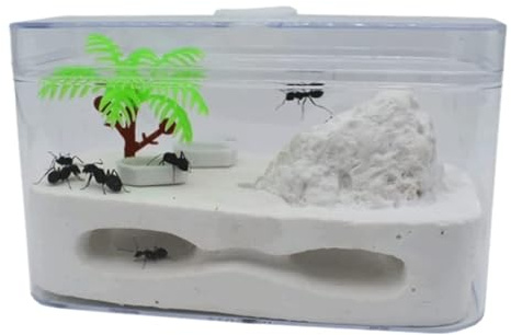 OUYUE Nido De Hormigas Granja De Hormigas Castillo Hábitat Yeso para La Alimentación Experimento Científico Formicarium Castillo de Hormigas