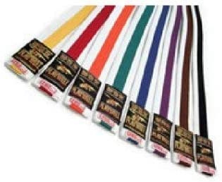 Playwell Martial Arts 250CM White With Coloured Stripe Belt (Green)