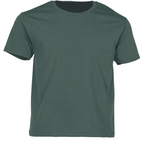Fruit of the Loom - Camiseta Original para niños (12-13 Años) (Verde Bosque)