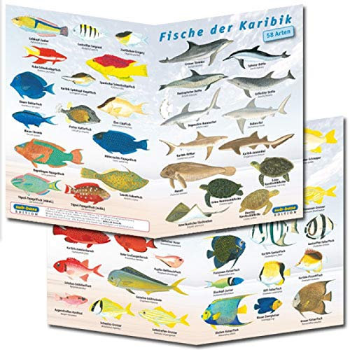 Fällbara blad fiskbestämningsblad för fiske Medelhavet, sötvatten, Röda havet (Karibien)