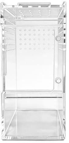 Acrylic Spider Cage – 15x7x7cm Transparent Vent Hole Terrarium Box, Secure Sliding Cover Reptile Container | Small Airflow Humidity Animal Habitat for Gecko Frog Crab Plant Sand Rock Desktop