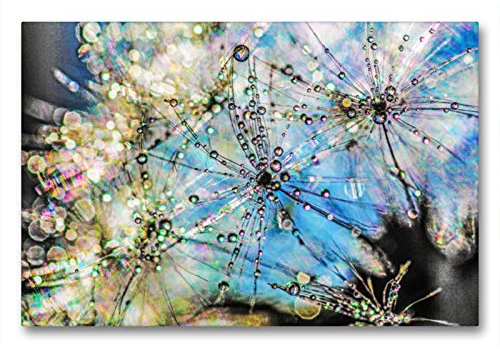Premium Textil-Leinwand 90 x 60 cm Quer-Format Glasperlenspiel oder Pusteblumen im Morgentau | Wandbild, HD-Bild auf Keilrahmen, Fertigbild auf hochwertigem Vlies, Leinwanddruck von Reinhard Sock