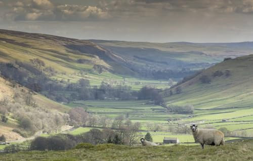Jigsaws 1000 Pieces for Adults - Puzzles for Adults | Adult Puzzles, England, North Yorkshire, Littondale 38x26CM