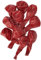 Scarlet Red Premium Latex Balloons (30cm) Pack of 10 - Party Decorations for Celebrations and Events