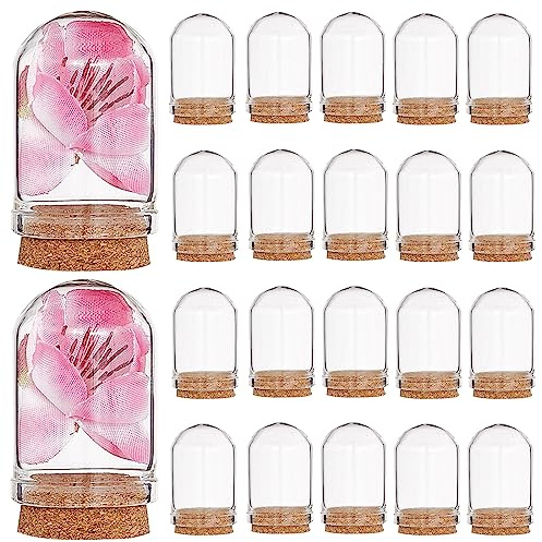 craspire 20 Stück Glasglocke, 1.43,(1) cm, Glasglocke, Flaschen, Mini-Ausstellungsständer, Abdeckung Mit Korkboden, Transparent, Dekorative Tischvitrine Für Getrocknete Blumen, Hochzeit, Weihnachten