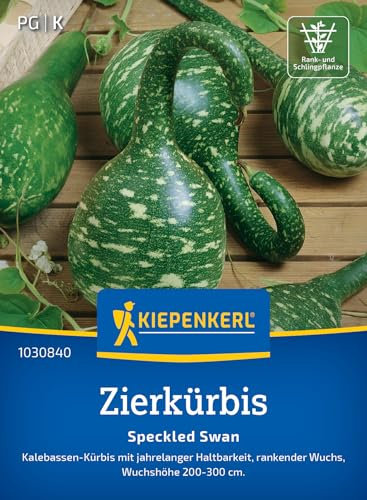 Kiepenkerl Zierkürbissamen Speckled Swan 1030840 für 7 Pflanzen - Dekorative Kürbis-Kürbissamen für Rankhilfen, langlebige Gemüsesamen für Garten und Anzucht