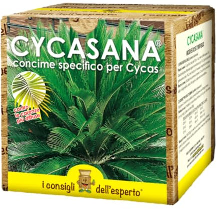 I Consigli dell’Esperto – Cycasana 0.75kg – Concime specifico per Cycas e Piante Tropicali – Concime Bicomponente Idrosolubile NPK+ Zolfo Correttivo del Terreno – Per Ingiallimenti e Disseccamenti