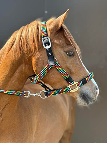 Equipride Geflochtenes Halfter Führstrick Set, Pferde Zubehör Halsring, Größe Full-Shetland (Shetland, Mehrfarbig)
