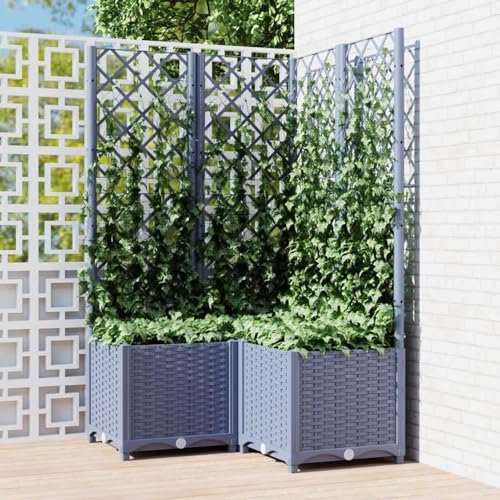 LAPOOH Pflanzkübel mit Rankgitter, Pflanzgefäße Außen, Blumentöpfe Garten, Blumenübertopf, Pflanzen Topf Groß, Dunkelgrau 80x80x136 cm PP