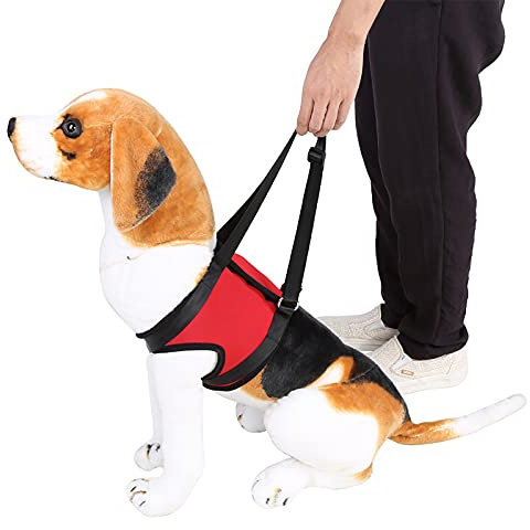 Hundestützgeschirr, Haustier-Gehhilfe Vorne und Hinten, Hundebeine Stützgeschirr, Gehhilfe-Heben für Alte Verletzte Hunde (Rote Vorderbeine L)