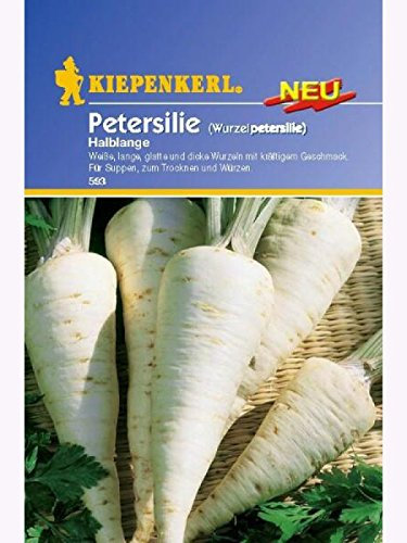 Petersilie Wurzelpetersilie Halblange