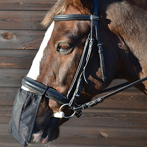Y-H Nase Netz/Schild/Abdeckung - Schwarz - Pony/Kolben/Voll - Schwarz, Pony