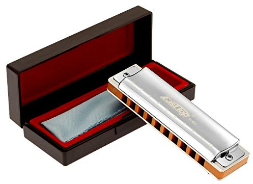 East Top 10 Löcher Professionelle diatonische Blues Mundharmonika Tonart D mit silberner Abdeckung, Probgrade Mundharmonikas für Erwachsene, professionelle Spieler und Studenten