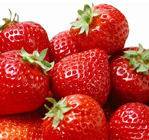 Welldales 100 Large Strawberry Seeds Pack High Yield Sweet Fruit Flower Plants