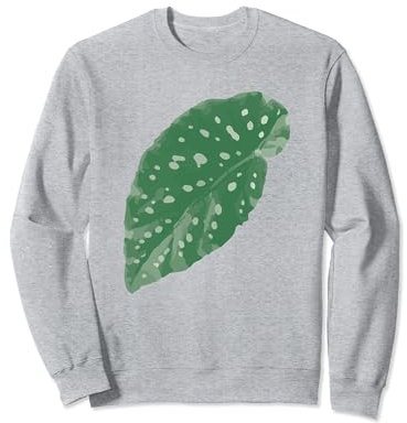 Cute Begonia Maculata polka dot begonia leaf for men women Sweatshirt