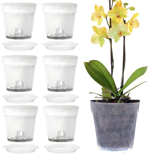 Voarge 6 Stück 11cm Transparent Orchideentöpfe, Pflanztöpfe mit Löchern und Untertassen Orchideen Für Indoor Outdoor Balkon Schreibtisch