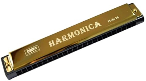 Professionelle C-Mundharmonika Chromatische C Holzblasharmonika Mit 24 Löchern(Gold)