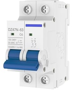 Interruttore automatico AC in miniatura a 2 poli 6A 10A 16A 20A 25A 32A 40A 50A 63A 120/240V Interruttore magnetico termico for montaggio su guida(20A)