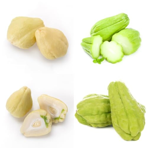 chayote de jardín semillas de chayote semillas hortalizas resistentes interior, hortalizas, balcón decoraciones jardín exteriores 30semillas