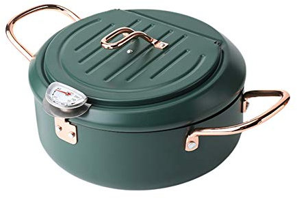Aceite y temperatura del control de la freidora, acero inoxidable 304 tempura Fryer, cocina portátil del hogar, bajo consumo de combustible cocina de inducción, Cocina de gas freidora,20cm