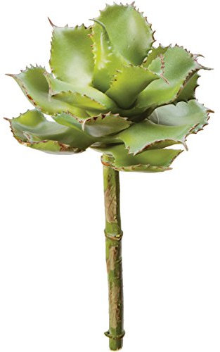 Darice Kunstleder Agave Sukkulente, grün