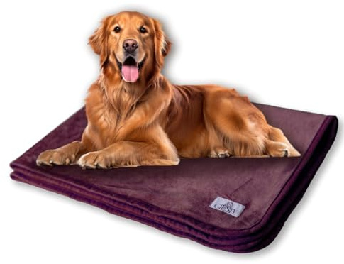 Giesty Hundedecke, Haustier Decken kuschelweich, Decken für Hunde Wasserdicht, maschinenwaschbar, beidseitiger Sofabezug-Schutz (Lila, XL (100x148cm))