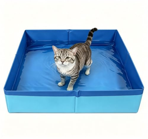 HECHKJ Planschbecken für Hunde, Quadratische Katzenpool, Faltbare | Hundepool Kleine Hunde, Tragbare Faltbarer Hundepool, 50 x 50 x 10 cm, für Kätzchen und Kleine Welpen
