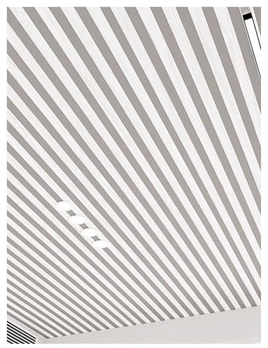 3D-selbstklebende Decken- und Wandpaneele, wasserdichte PVC-Verkleidung for Decken- und Wandgestaltung in Wohnzimmer, Schlafzimmer und Büro(Grey,10-pack)
