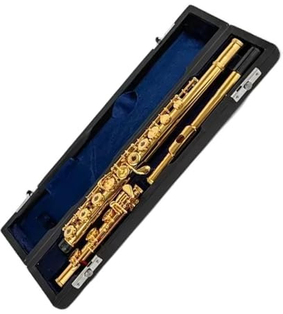 Professionelles Flöteninstrument mit vergoldetem Korpus aus weißem Kupfer, C-Ton 17, offenes Loch Flöteninstrument
