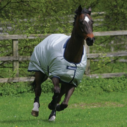 BUCAS Outdoor Pferdedecke Power Turnout Classic, silberfarbend, 155