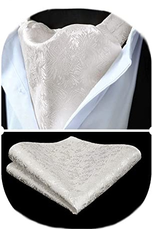 HISDERN Herren Krawattenschal Floral Paisley Ascot Krawatte Hochzeit Business Halstuch und Einstecktuch Set