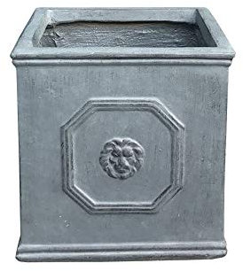 Kante Maceta Cuadrada de hormigón con Cabeza de león, Maceta clásica de Estilo inglés con Orificio de Drenaje y tapón de Goma para Interior, Exterior, jardín, Patio, hogar, 26 x 26 x 26 cm, Gris