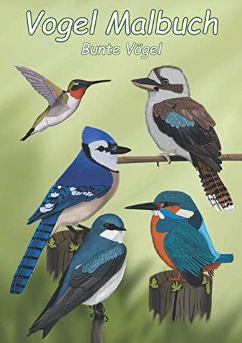 Vogel Malbuch Bunte Vögel: Entdecke die Vielfalt der Vogelwelt, Schöne Vogelmotive zum Ansehen und Ausmalen für Kinder und Erwachsene im A4 Format