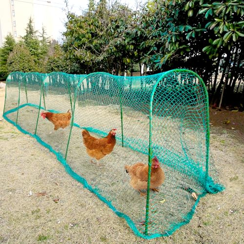 UNIFAMILY Túnel de Pollo, gallinero, 157 x 31 Pulgadas, túneles de Pollo para Patio Exterior, túnel de fácil instalación, Adecuado para Pollos, Patos, Conejos, Grandes, Color Verde