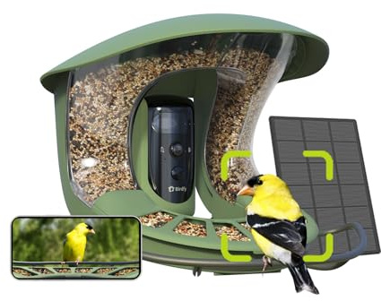 Birdfy 2 Pro Vogelfutterhaus mit 2K Dual Kamera, Live Vogelbeobachtung, KI Vogelerkennung ohne ABO, Kabellos Futterstation mit Zeitlupenvideo, Automatisch Verfolgung, Echzeit Benachrichtigung