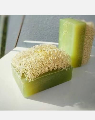 Jabón Natural con Luffa, Aloe Vera Color Verde, Juego de 2