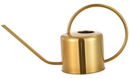 Toddmomy 1pièce Arrosoir Acier Inoxydable avec Long Bec pour Plantes Outil De Jardinage Doré